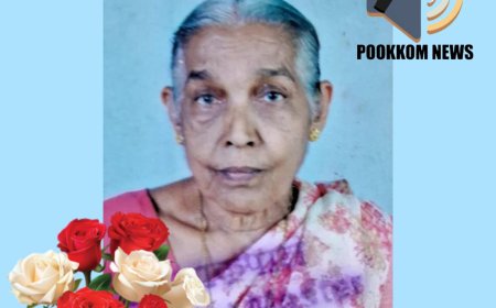 മണപ്പാട്ടി ശാന്ത (89) നിര്യാതയായി